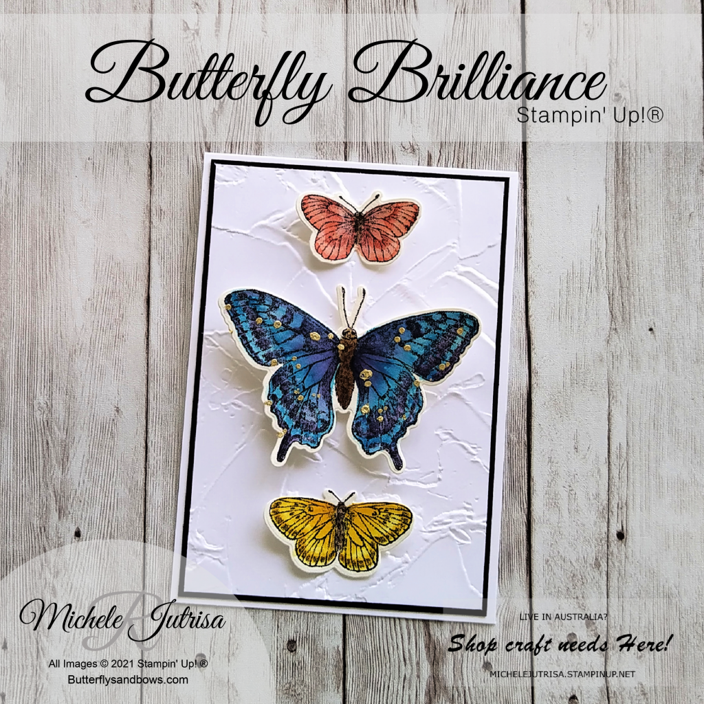Butterfly Brilliance Bundle by Stampin' Up!. Watercoloured on Fluid 100 Watercolour Paper