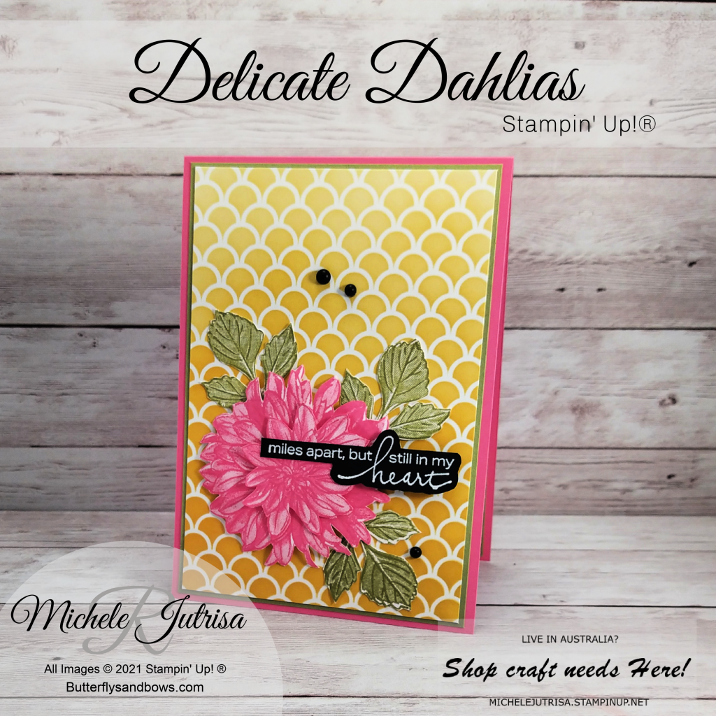 Delicate Dahlias from the 2021 Sale-A-Bration